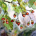 Acorns 