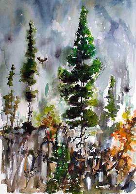 Ginette Painting Silver Fir Tree watercolors and ink